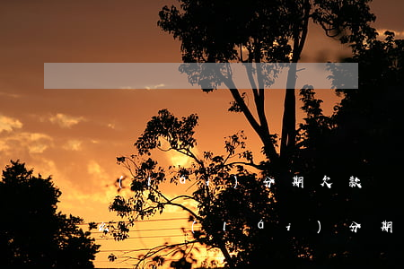 來(lái)分期欠款無(wú)力償還怎么辦(來(lái)分期欠款無(wú)力償還怎么辦理)