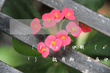 來(lái)分期準(zhǔn)時(shí)還款有助漲芝麻分嗎-來(lái)分期按時(shí)還款會(huì)上征信嗎