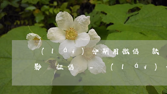 來(lái)分期用微信還款會(huì)影響征信嗎-來(lái)分期用微信還款會(huì)影響征信嗎