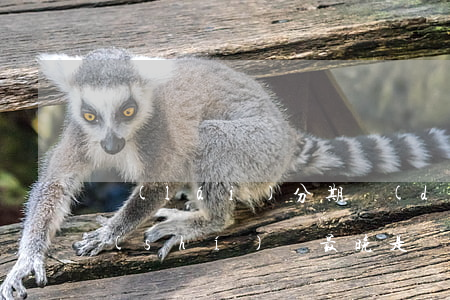 來(lái)分期當(dāng)天還款時(shí)間最晚是幾點(diǎn)-來(lái)分期當(dāng)天還款時(shí)間最晚是幾點(diǎn)?