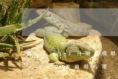 來(lái)分期疫情期貸款逾期(分期嚴(yán)重逾期后果)