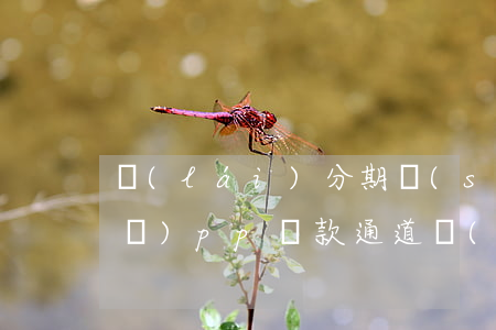 來(lái)分期說(shuō)把a(bǔ)pp還款通道關(guān)閉-來(lái)分期說(shuō)把a(bǔ)pp還款通道關(guān)閉了怎么辦