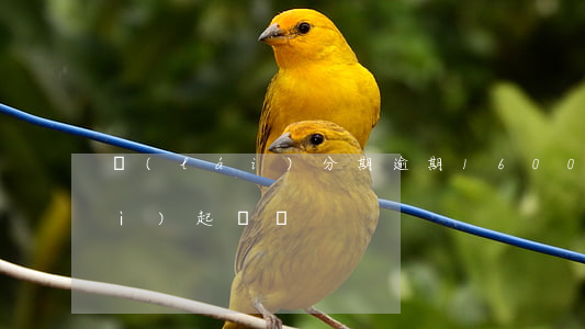 來(lái)分期逾期16000會(huì)起訴嗎