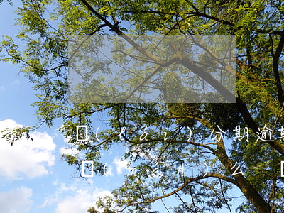 來(lái)分期逾期3天會(huì)上門(mén)么-來(lái)分期逾期3個(gè)月了會(huì)有什么后果欠四萬(wàn)