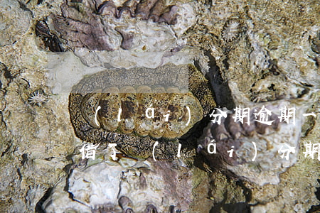 來(lái)分期逾期一天還款后就不能再借了?（來(lái)分期逾期一天后怎么還）