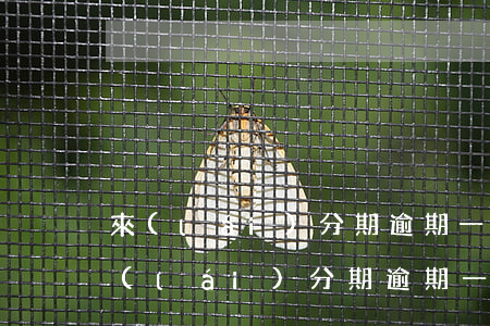 來(lái)分期逾期一直在支付寶扣錢(來(lái)分期逾期一直在支付寶扣錢)