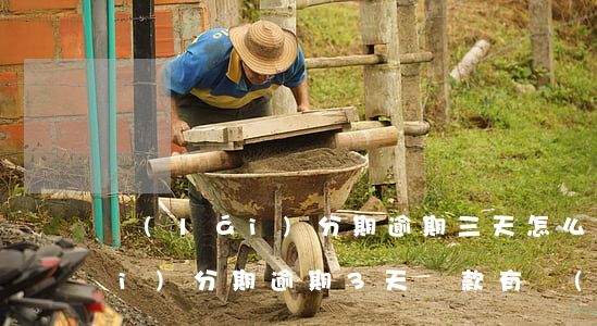來(lái)分期逾期三天怎么辦 來(lái)分期逾期3天還款有沒(méi)有事
