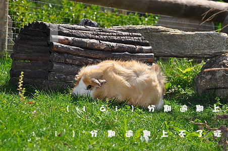 來(lái)分期逾期上不了征信 來(lái)分期逾期上不了征信