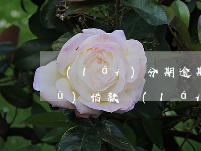 來(lái)分期逾期了多久可以恢復(fù)借款(來(lái)分期逾期了多久可以恢復(fù)借款記錄)