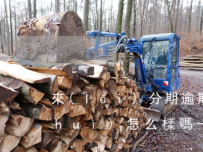 來(lái)分期逾期半個(gè)月會(huì)怎么樣嗎-來(lái)分期逾期15天算嚴(yán)重逾期嗎