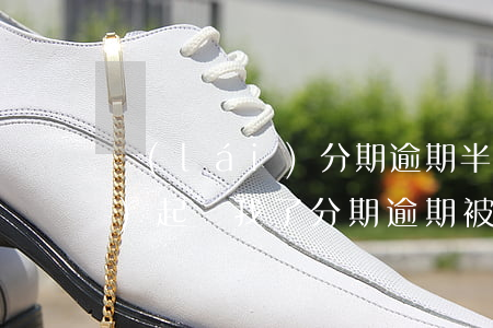 來(lái)分期逾期半年已經(jīng)起訴我了（分期逾期被訴訟）