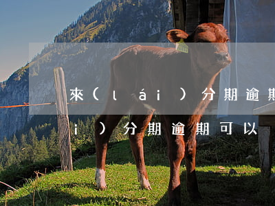 來(lái)分期逾期可以減免嗎 來(lái)分期逾期可以減免嗎