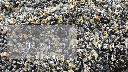 來(lái)分期逾期后提前還款(來(lái)分期不可以提前還款嗎)
