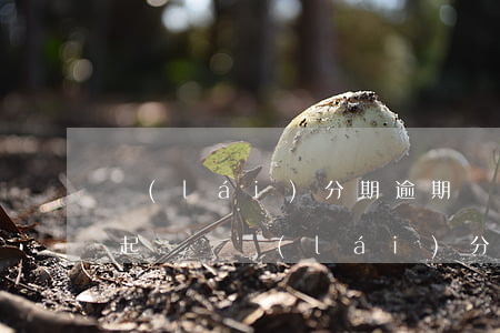 來(lái)分期逾期幾千塊會(huì)起訴嗎(來(lái)分期逾期幾千塊會(huì)起訴嗎)