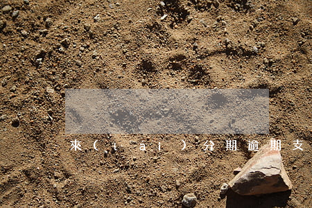 來(lái)分期逾期支付寶可以用嗎