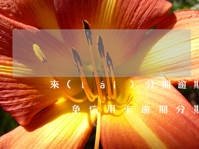 來(lái)分期逾期費(fèi)用如何減免（信用卡逾期分期收手續(xù)費(fèi)減免）