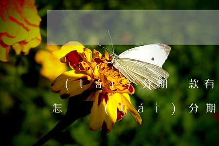 來(lái)分期還款有逾期會(huì)怎樣(來(lái)分期逾期了一年多)