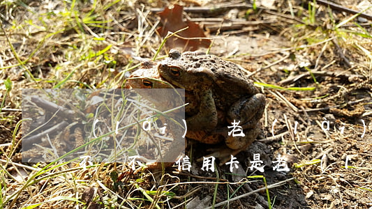 來(lái)賓老賴(lài)透支信用卡不還(不還信用卡是老賴(lài)嗎)