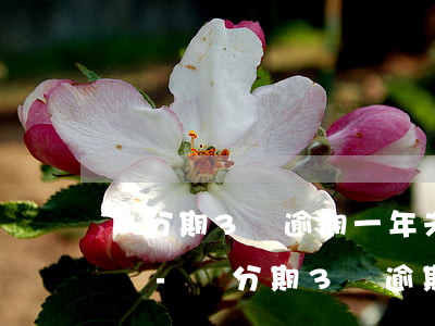 來分期3萬逾期一年未還會(huì)上門嗎-來分期3萬逾期一年未還會(huì)上門嗎是真的嗎