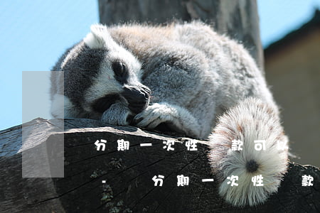 來分期一次性還款可以協(xié)商減免嗎-來分期一次性還款可以協(xié)商減免嗎是真的嗎