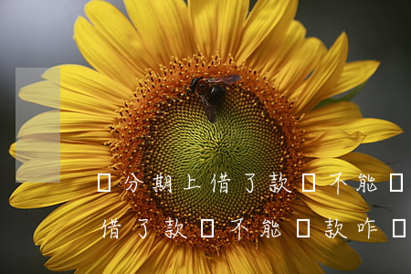 來分期上借了款卻不能還款咋辦-來分期上借了款卻不能還款咋辦呢