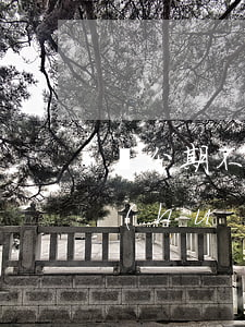 來分期不還會(huì)怎樣(來分期不還會(huì)怎么樣)