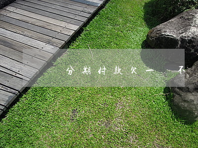 來分期付款欠一萬不還會怎么樣-