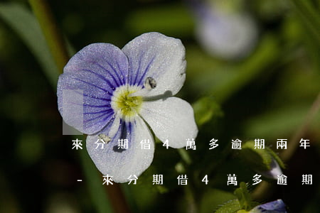 來分期借4萬多逾期兩年會(huì)怎樣-來分期借4萬多逾期兩年會(huì)怎樣呢