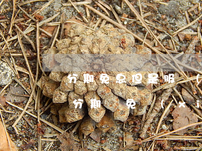 來分期免息但是服務(wù)費(fèi)(來分期減免協(xié)議套路)