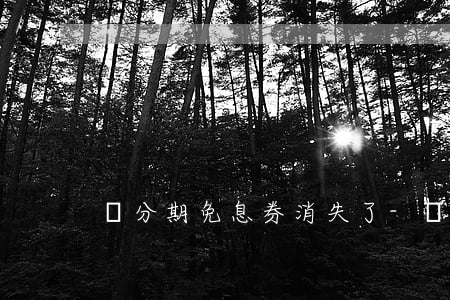 來分期免息券消失了-來分期減免還本金