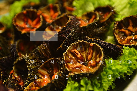 來分期分期后逾期會被取消分期嗎-來分期逾期會關(guān)閉還款嗎