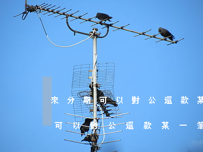 來分期可以對公還款某一筆訂單嗎-來分期可以對公還款某一筆訂單嗎