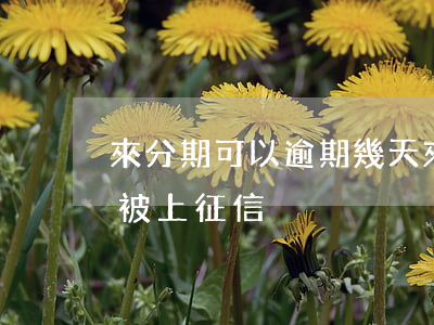 來分期可以逾期幾天 來分期可以逾期幾天不被上征信