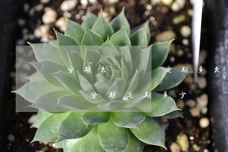 來分期大額賬單逾期多久會(huì)被起訴(來分期逾期多少錢會(huì)被起訴)