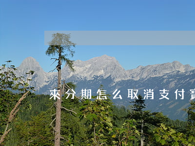 來分期怎么取消支付寶自動還款-