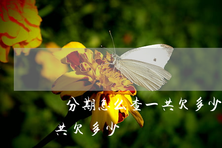 來分期怎么查一共欠多少錢(來分期怎么查一共欠多少錢)