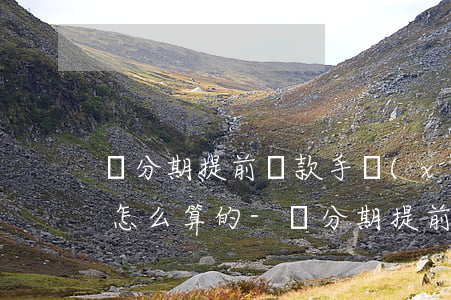 來分期提前還款手續(xù)費(fèi)怎么算的-來分期提前還款手續(xù)費(fèi)怎么算的啊