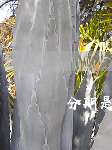 來分期是不是不用還了(來分期是不是沒了)