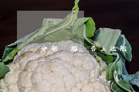 來分期會起訴告上法院嗎欠錢不還