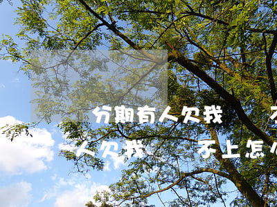 來分期有人欠我錢還不上怎么辦-來分期有人欠我錢還不上怎么辦呢
