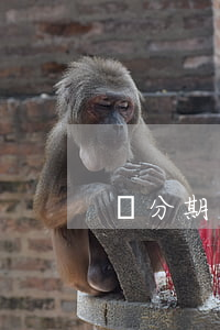 來分期有免息嗎(來分期還有嗎)