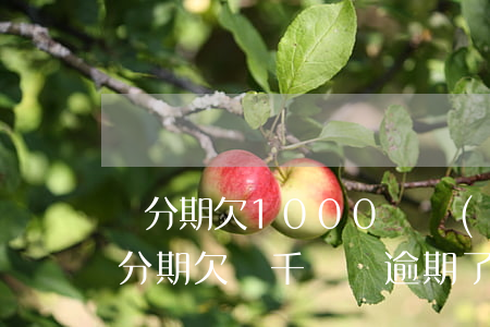 來分期欠1000塊會(huì)起訴嗎(來分期欠幾千塊錢逾期了說起訴是真的嗎)