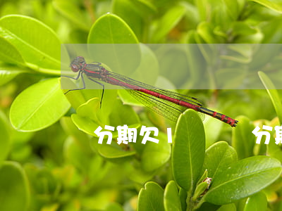 來分期欠1塊錢(來分期一百多塊錢沒還)