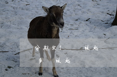 來分期欠1萬會被起訴嗎貼吧(來分期欠款1萬多會被起訴嗎)