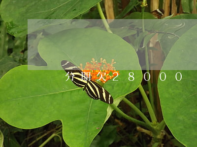 來分期欠28000(來分期欠了兩年沒還)