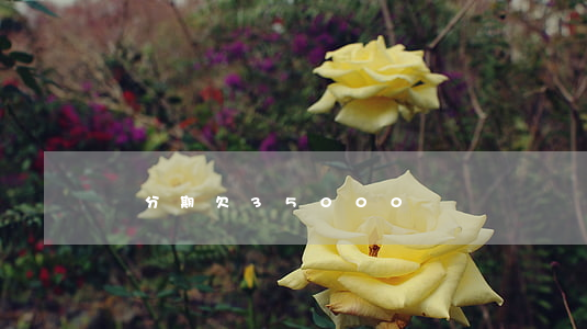 來分期欠35000
