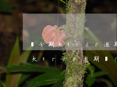 來分期欠3500逾期費(fèi)(來分期欠3500逾期費(fèi))