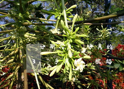 來分期欠3萬多真的會被起訴嗎-來分期欠3萬多真的會被起訴嗎