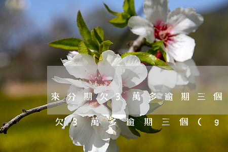 來分期欠3萬多逾期三個(gè)月(來分期欠3萬多逾期三個(gè)月)