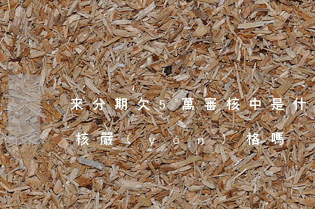 來分期欠5萬審核中是什么意思-來分期審核嚴(yán)格嗎